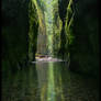 Green Shadow Gorge