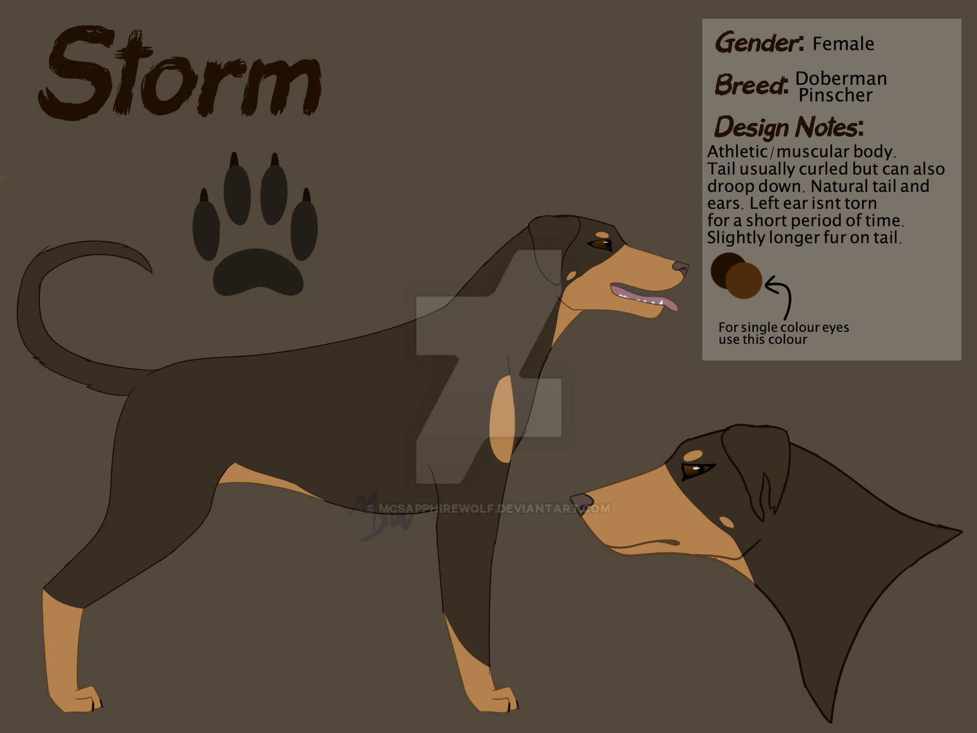 Storm Reference Sheet by McSapphireWolf on DeviantArt