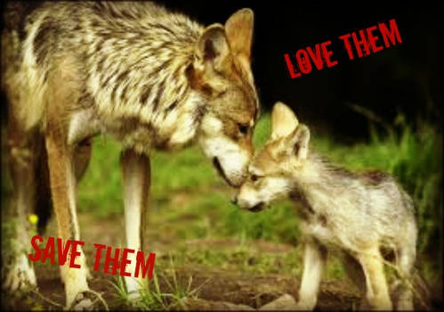 Love them, Save them.