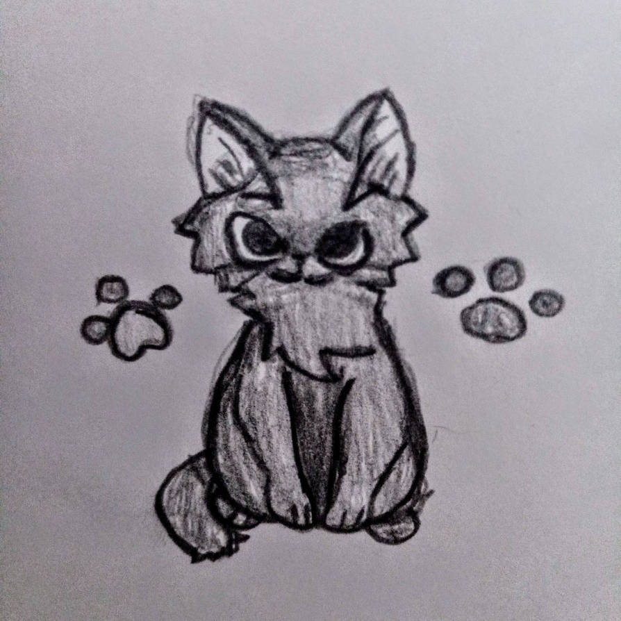 Speed Drawing Cat By Dori2002 On Deviantart Speed Drawing Cat By Dori2002 On Deviantart