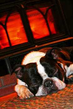 Cozy by the Fire