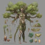 Dryad 4