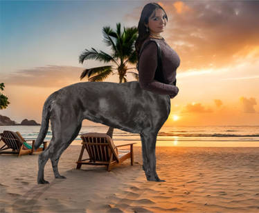 Dogtaur