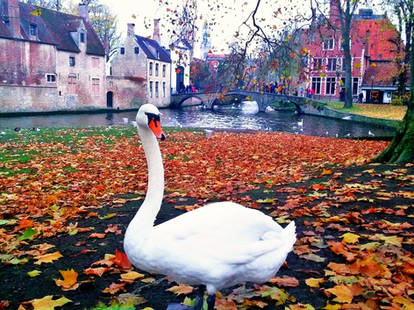 Brugge - Belgium