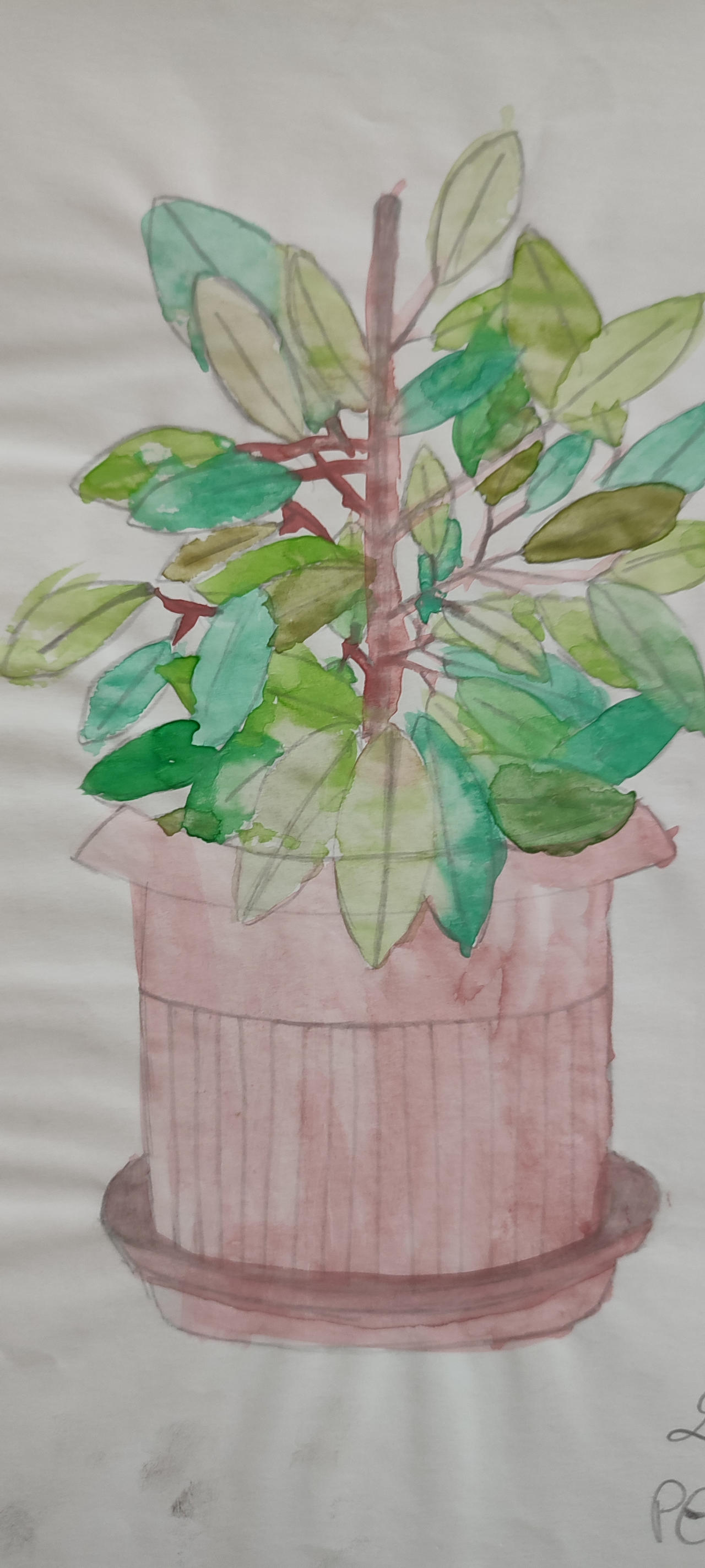 Plant Deviantart plant draw by oldbookshop on DeviantArt