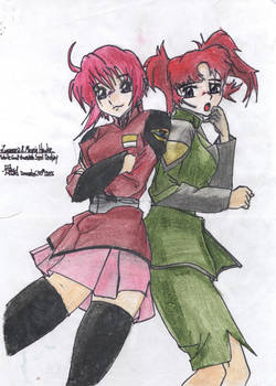 Lunamaria and Meyrin Hawke