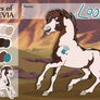 HOH | Natives | Lootah