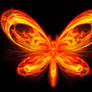 Nuclear butterfly5