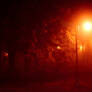 October night fog 5