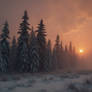 Winter sunset67