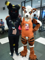 Eurofurence 3