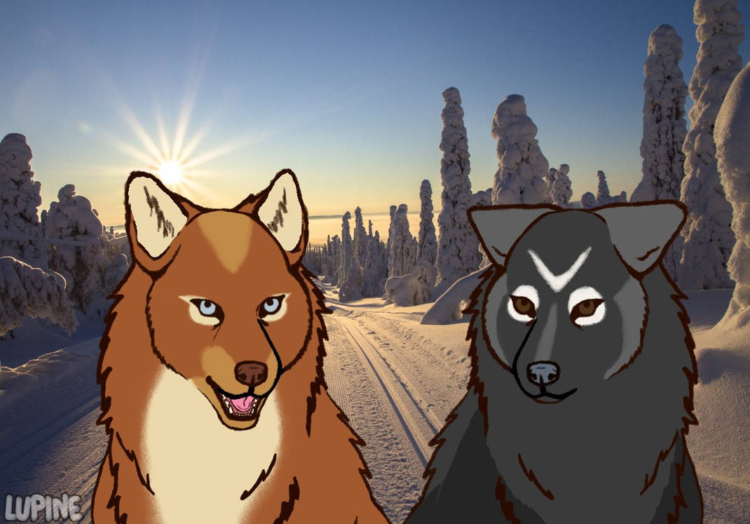Two Wolves by Holly-Hoyle on DeviantArt