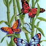 Butterflies