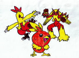 Torchic and its evolutions