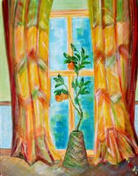 The orange tree by the window