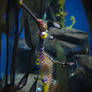 Leafy Sea Dragon