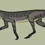 Coyote-croc redux: Agilisuchus 2.0.