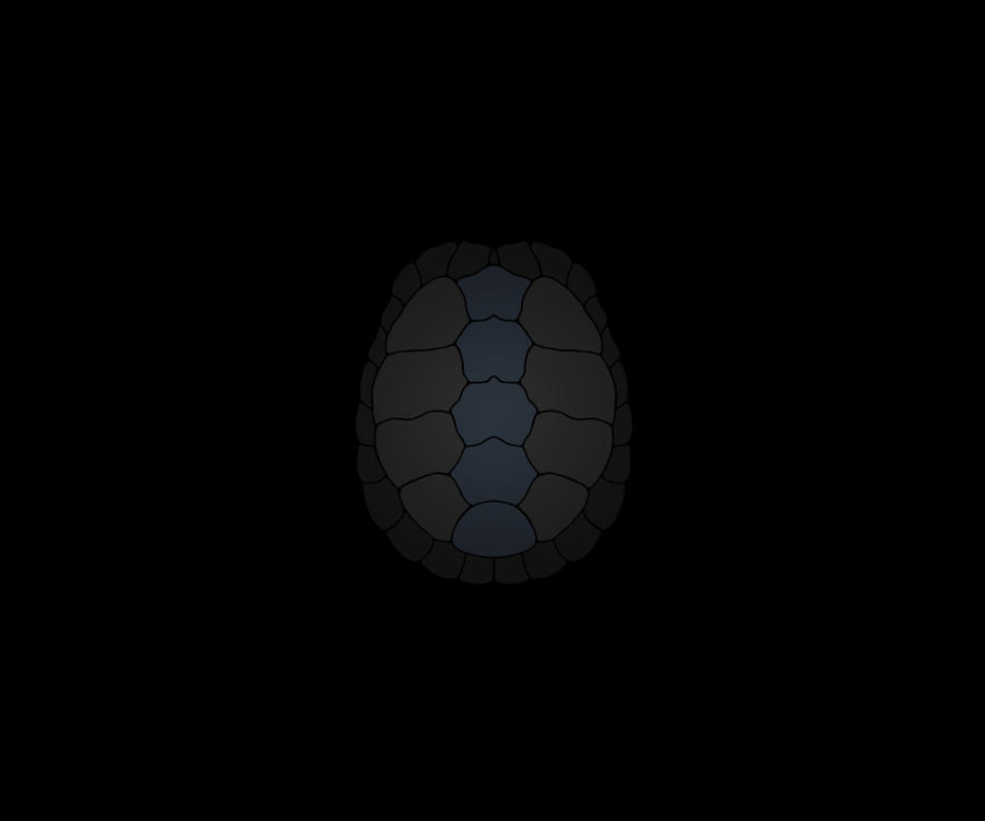 Block Turtle Shell For Reference Turtle Shell by SEA-WALL on DeviantArt