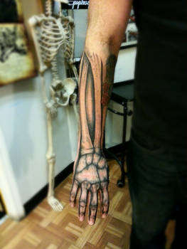 skeleton arm and hand