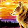 Wolf Watching Sunset