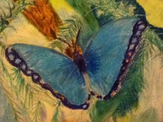Impressionist Butterfly
