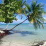 Puerto Rico: Palomino Island