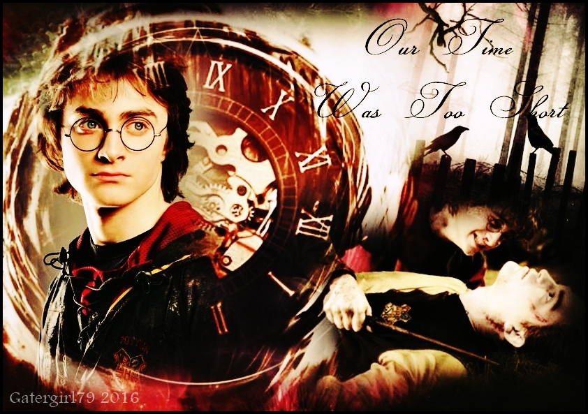 Haric - Our Time Was Too Short by Gatergirl79