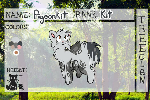 Pigeonkit (COTB)