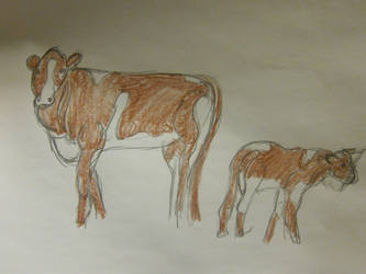 Cattle Designs For DR
