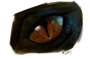 Smaug's eye