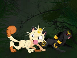 Meowth and Umbreon:escape...