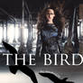 The Bird Cover