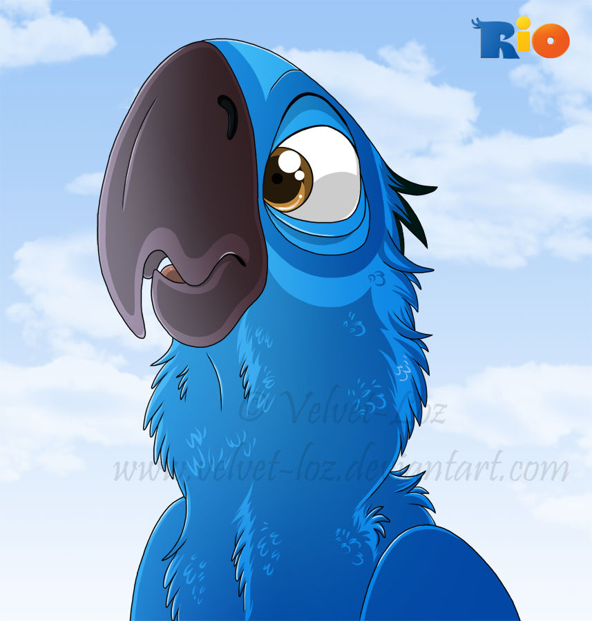 Rio- Blu by Velvet-Loz on DeviantArt