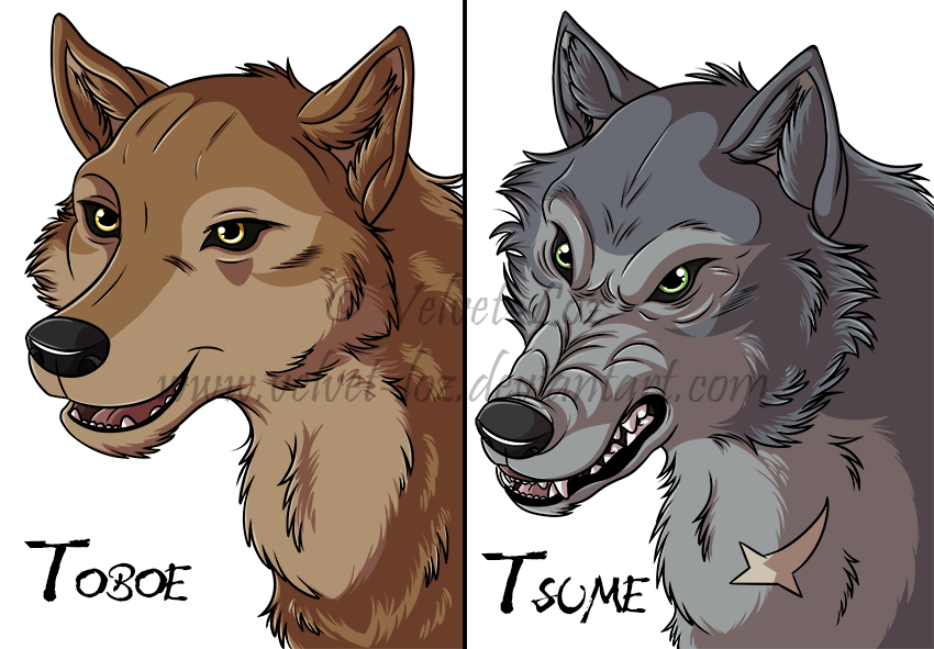 Wolf S Rain Toboe And Tsume By Velvet Loz On Deviantart Wolf S Rain Toboe And Tsume By Velvet Loz On Deviantart