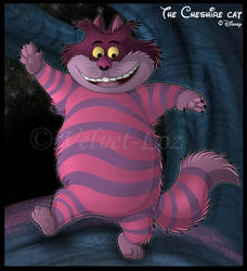 The Cheshire Cat