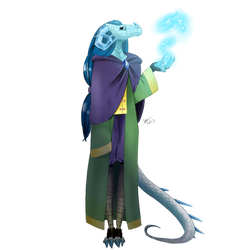 Illi the dragonborn sorcerer