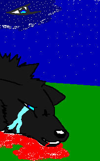 starfall by cheyennethestarwolf on DeviantArt