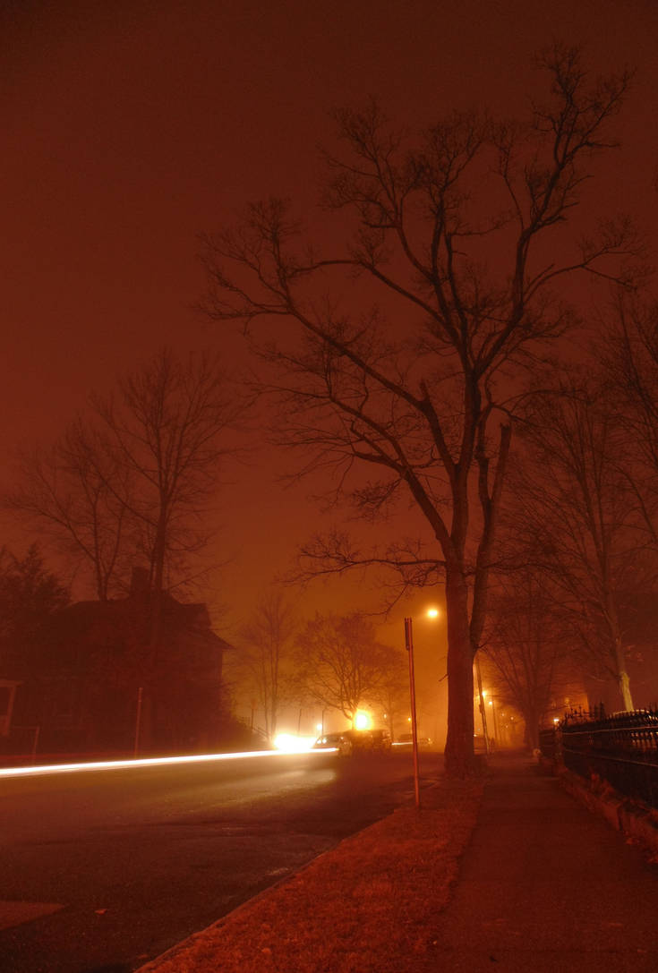 Foggy night - Electric lights by Lunarsight