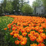 More nature from the Efteling