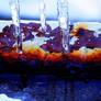 Ice Fire Water