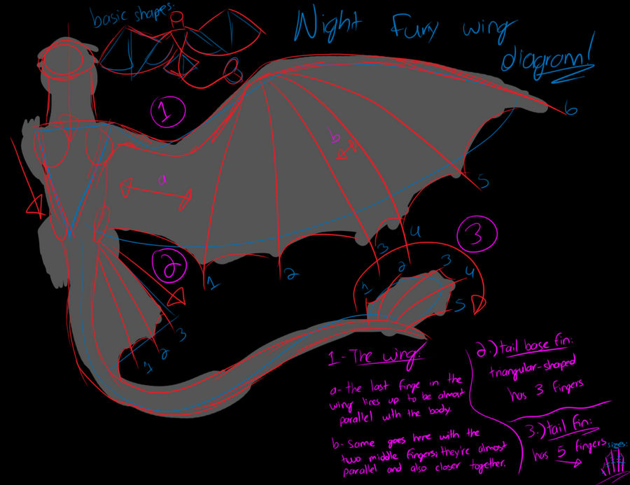 Night Fury Diagram How To Train Your Dragon Official Franchise Site
