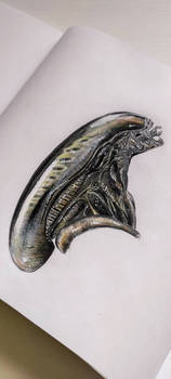 Xenomorph