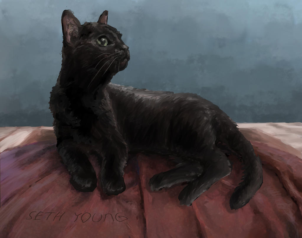 Lisa Cat by 08yo8387 on DeviantArt