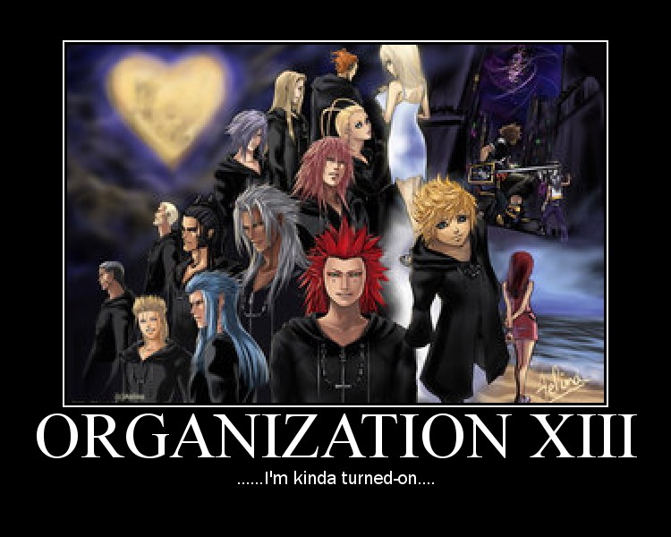 Organization XIII