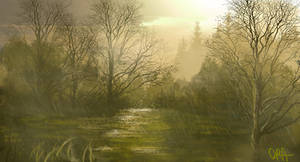 Swamp
