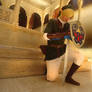 The Legend of Zelda Zelda Link Cosplay Costume