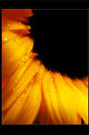 Blackhole Sun by Devlicharov