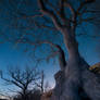Blue Hour Extended