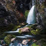 Dachserfall
