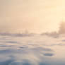Golden fog
